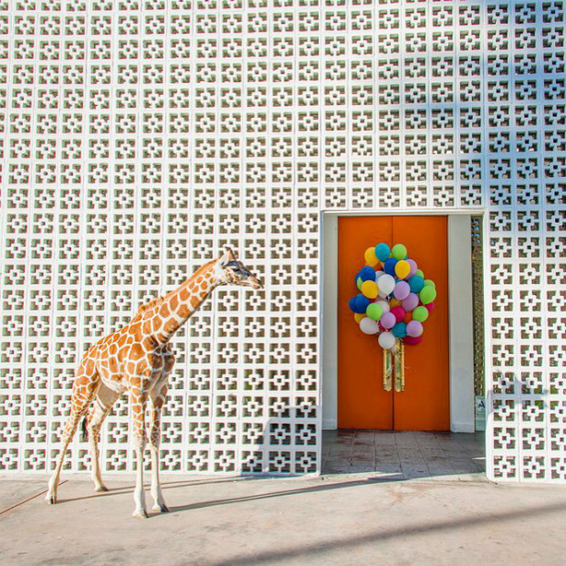 best interior design instagrams: Jonathan Adler