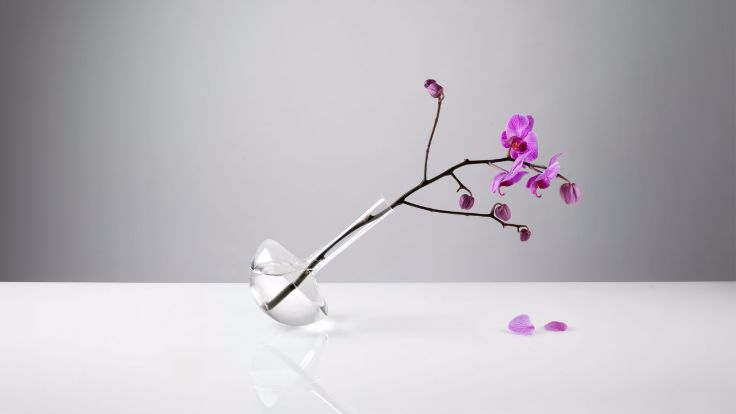 london-designjuntion-supporting--design-1