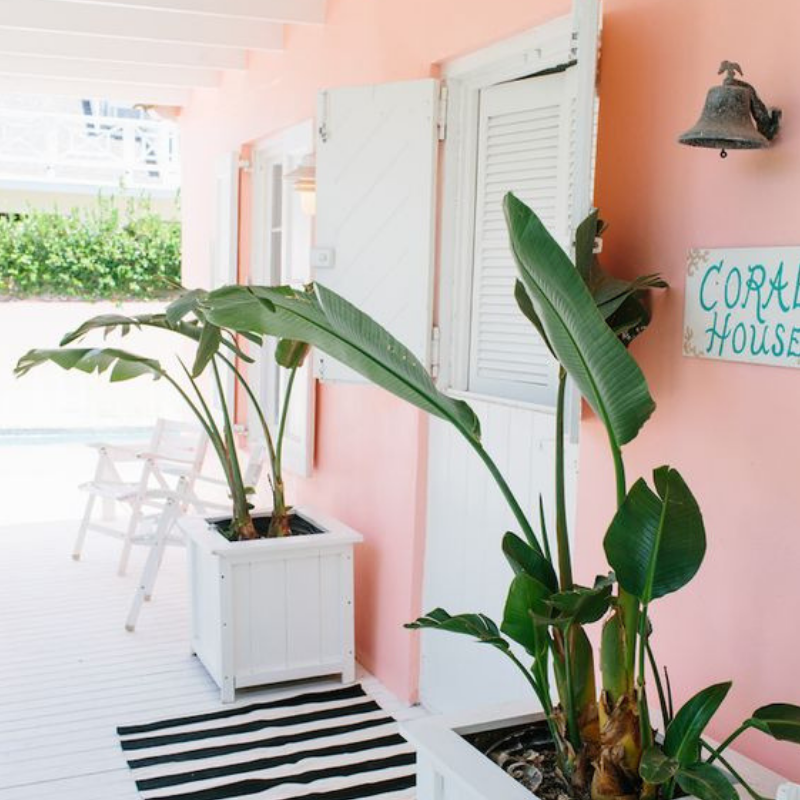 Pantone Color Del Año 2019_ Coral Va Rellenar El Design de Tu Casa (3)