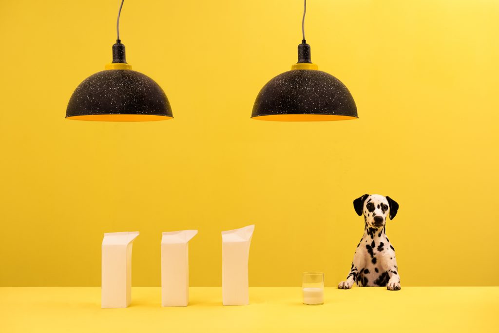 How Masquespacio Celebrates Beauty Through Art And Design